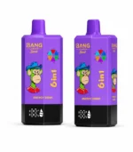 BANG LEADER STOLL 300K 6in1 – lila Energy Drink változat elöl- és hátulnézetben