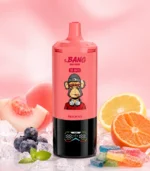 Bang Leader 450K 15in1 – Peach Ice Citrus ízváltozat