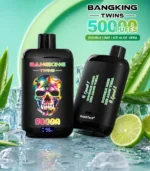 Bang King Twins 50K – Peach Mango Watermelon, Blue Razz Cherry ízváltozat