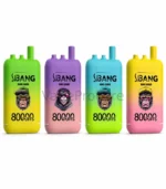 Bang Leader 80K 3in1 – Strawberry Kiwi, Peach Ice, Cherry Cola ízváltozat